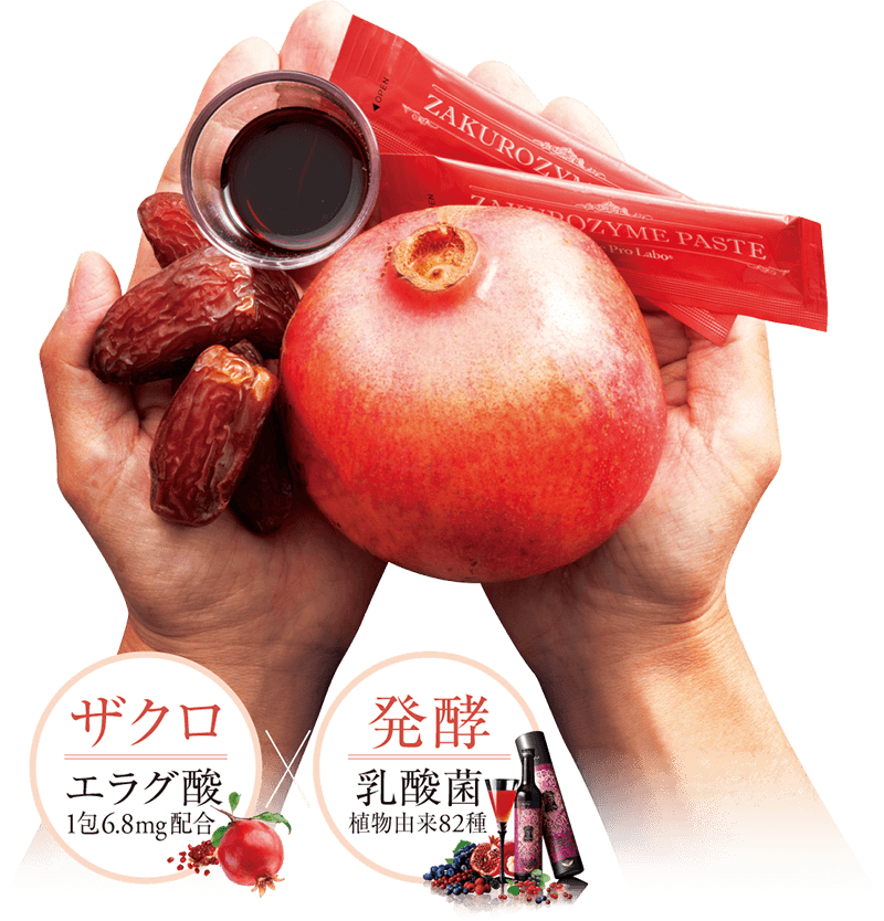 Esthe Pro Labo ZAKURO ZYME PASTE