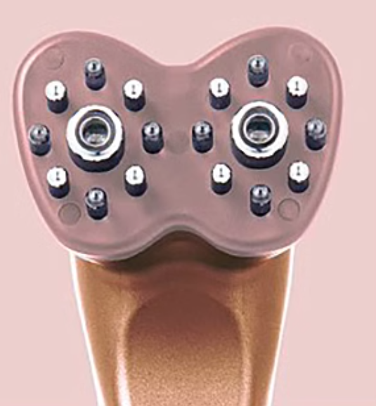 GRAZIA DIREIA Zeru EMS Face & Scalp Device